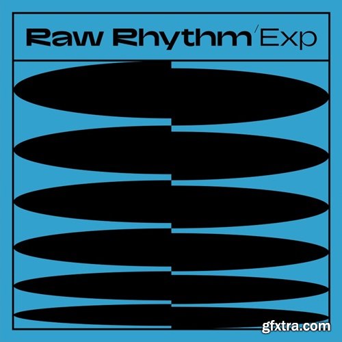 Native Instruments Raw Rhythm Maschine Expansion