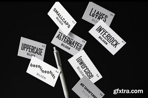 CreativeMarket - Bilgen Geometric Sans