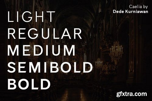 CreativeMarket - Caelia Gothic Sans Typeface