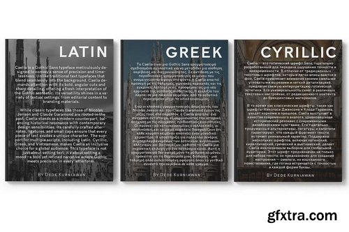 CreativeMarket - Caelia Gothic Sans Typeface