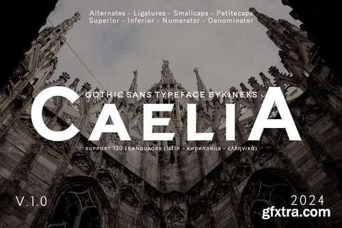 CreativeMarket - Caelia Gothic Sans Typeface