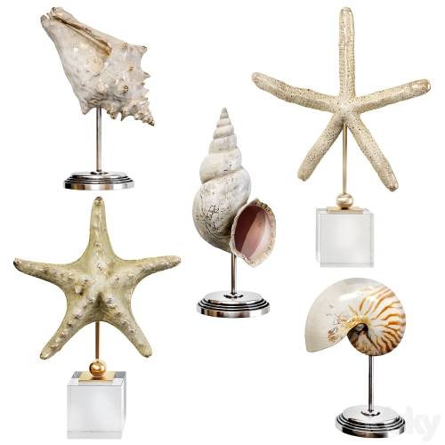 '3dsky Pro - Sea shell decorative set 03'