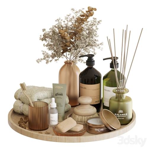 '3dsky Pro - Bathroom Accessories-02'