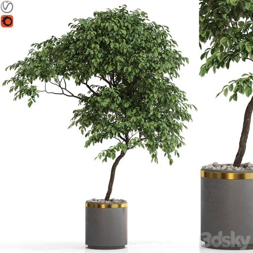 '3dsky Pro - Plants collection 700'