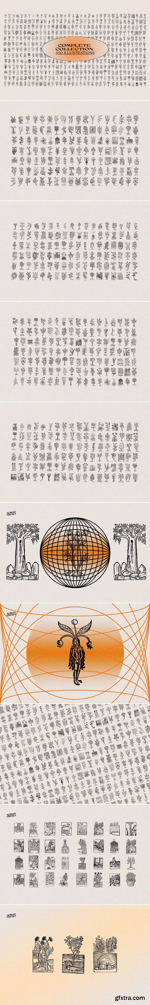 Studio2am - Herbarium Medieval Botany Collection