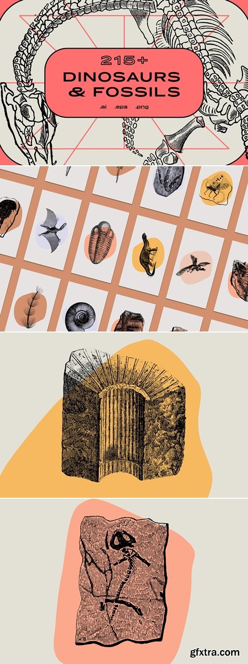 NomadVisuals - Dinosaurs & Fossils