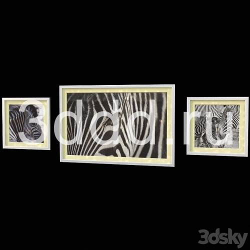 '3dsky Pro - 3DDD FRAMES'