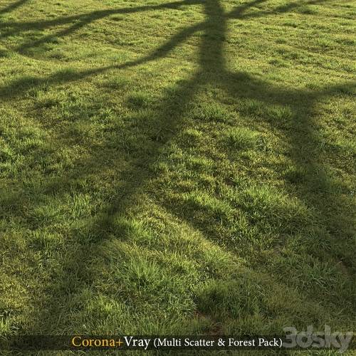 '3dsky Pro - Grass landscape'