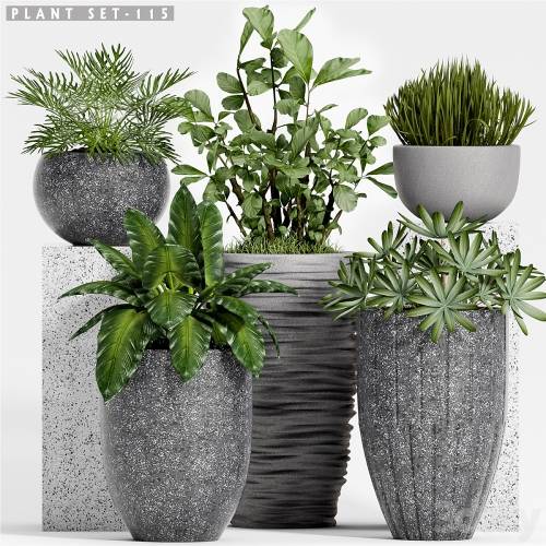'3dsky Pro - Plant set-115'