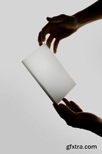 Directory Mockup Collections