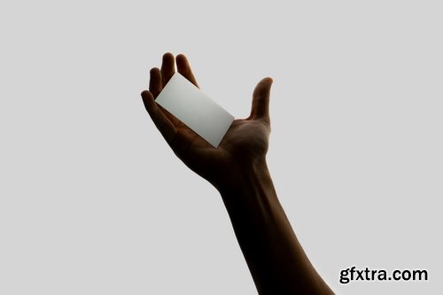 Directory Mockup Collections