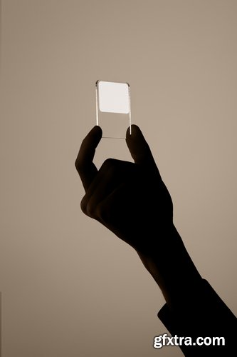 Directory Mockup Collections