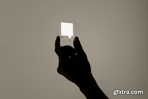 Directory Mockup Collections