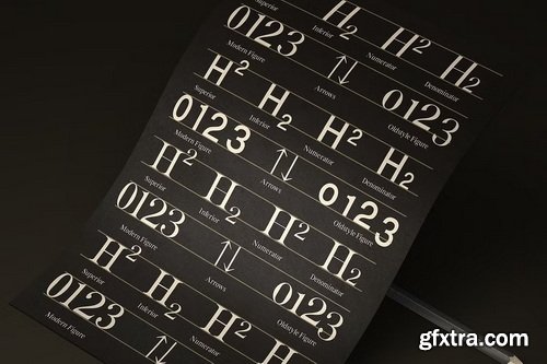 CreativeMarket - Bia Transitional Serif & Sans