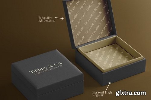 CreativeMarket - Bia Transitional Serif & Sans