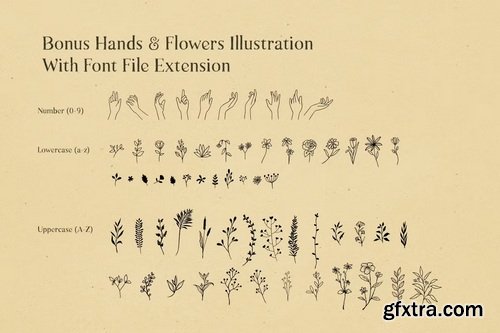 CreativeMarket - Natural Comforts Rough Serif