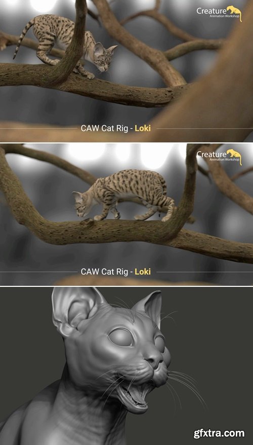 Gumroad - Loki Cat Rig