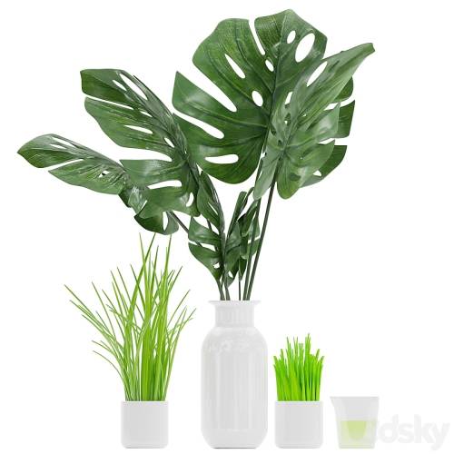 '3dsky Pro - Plant 04'
