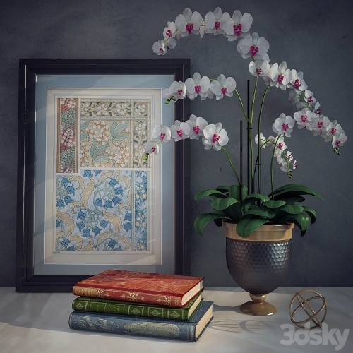 '3dsky Pro - Decorative set'