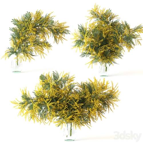 '3dsky Pro - Mimosa'