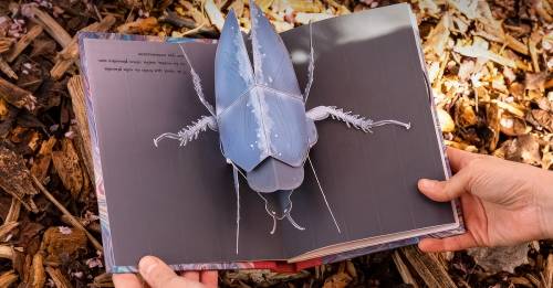 'Domestika - Interactive Pop-up Books: Create a Paper World'