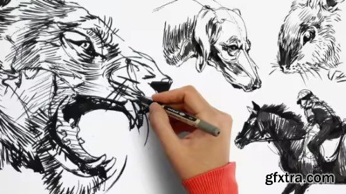 Udemy - Masterclass of Animal Drawing: Beginner to Advanced