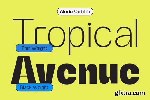 CreativeMarket - Alerio Variable Font