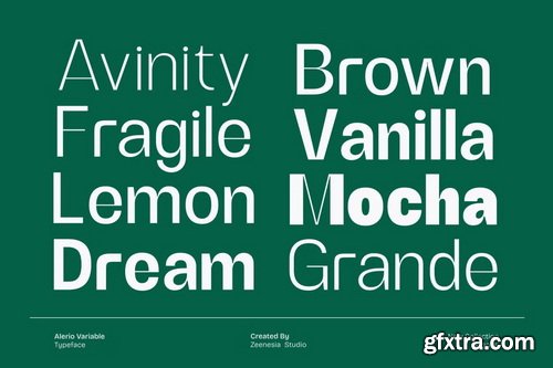 CreativeMarket - Alerio Variable Font
