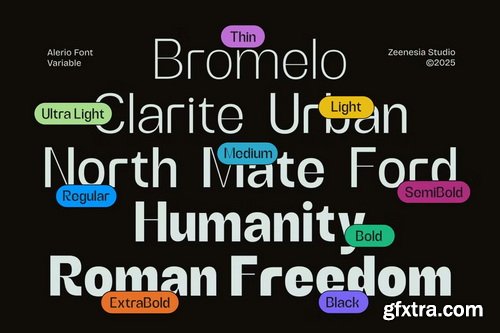 CreativeMarket - Alerio Variable Font