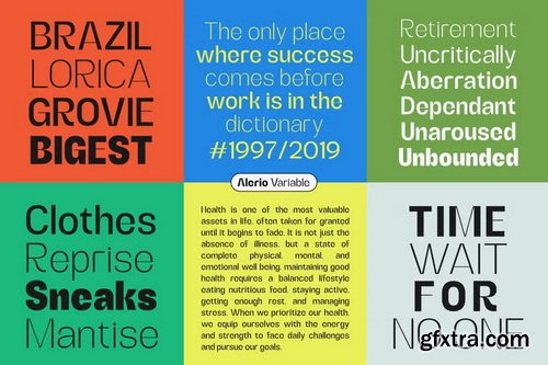 CreativeMarket - Alerio Variable Font