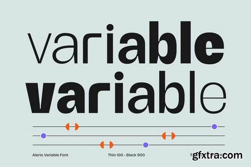 CreativeMarket - Alerio Variable Font