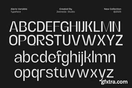 CreativeMarket - Alerio Variable Font