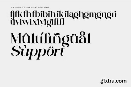 CreativeMarket - Calvoria Stelline Modern Serif Font