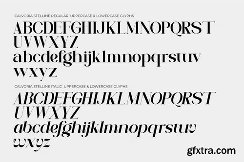 CreativeMarket - Calvoria Stelline Modern Serif Font