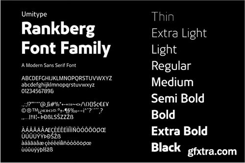 Rankberg Modern Bold Font Family For Logo