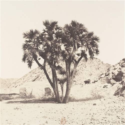 'Audiio - Swim (Instrumental) - Beach Chapel' 'Audiio - Swim (Instrumental) - Beach Chapel'