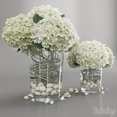 '3dsky Pro - Hydrangea white'