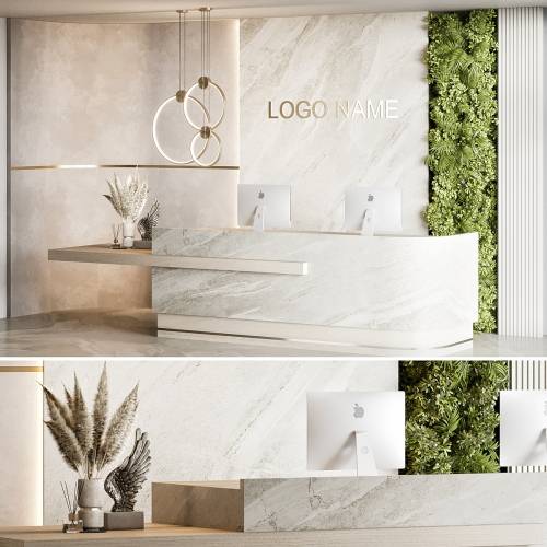 '3dsky Pro - Reception Design 16'