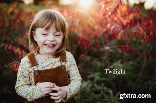 Twig &amp; Olive Photography - Lightroom and ACR Presets