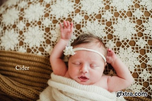 Twig &amp; Olive Photography - Lightroom and ACR Presets