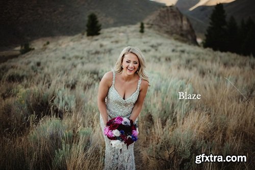 Twig &amp; Olive Photography - Lightroom and ACR Presets