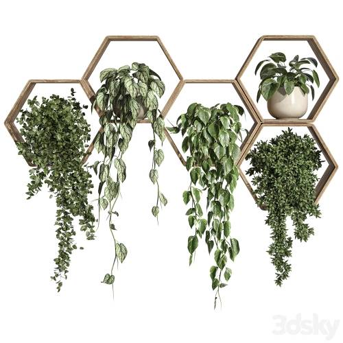'3dsky Pro - Plants on Shelf 31'