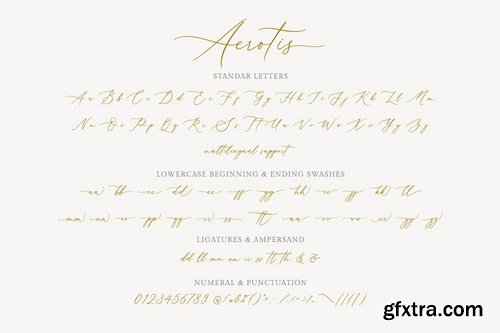 CreativeMarket - Aerotis a Modern Calligraphy Font