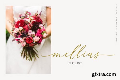 CreativeMarket - Aerotis a Modern Calligraphy Font