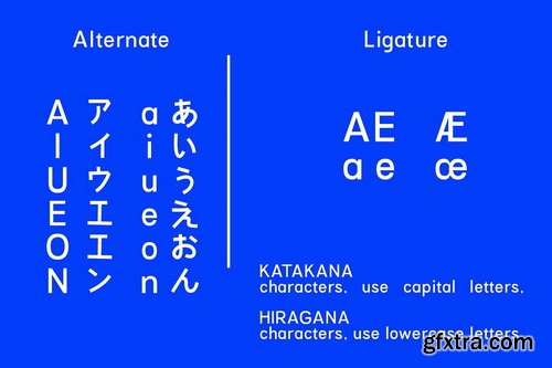 CreativeMarket - Hagumi with Katakana and Hiragana
