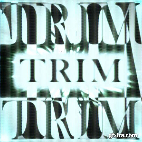 HOLOGRAM and SHAZY Trim Sound Kit