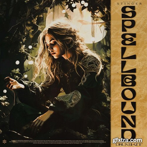 Hive Audio Spellbound Drum Kit