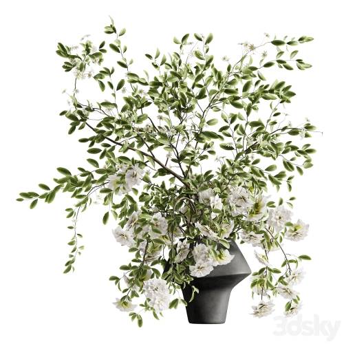 '3dsky Pro - bouquet of twigs inserted into a clay pot 02'