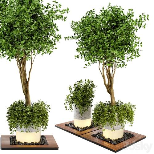 '3dsky Pro - Outdoor Plants bush & Tree Combination of wood & concrete Pot - Garden Set 45'