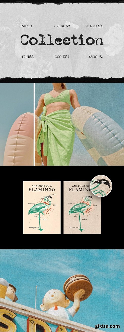 CreativeMarket - Gray Paper Overlays Collection 291829623